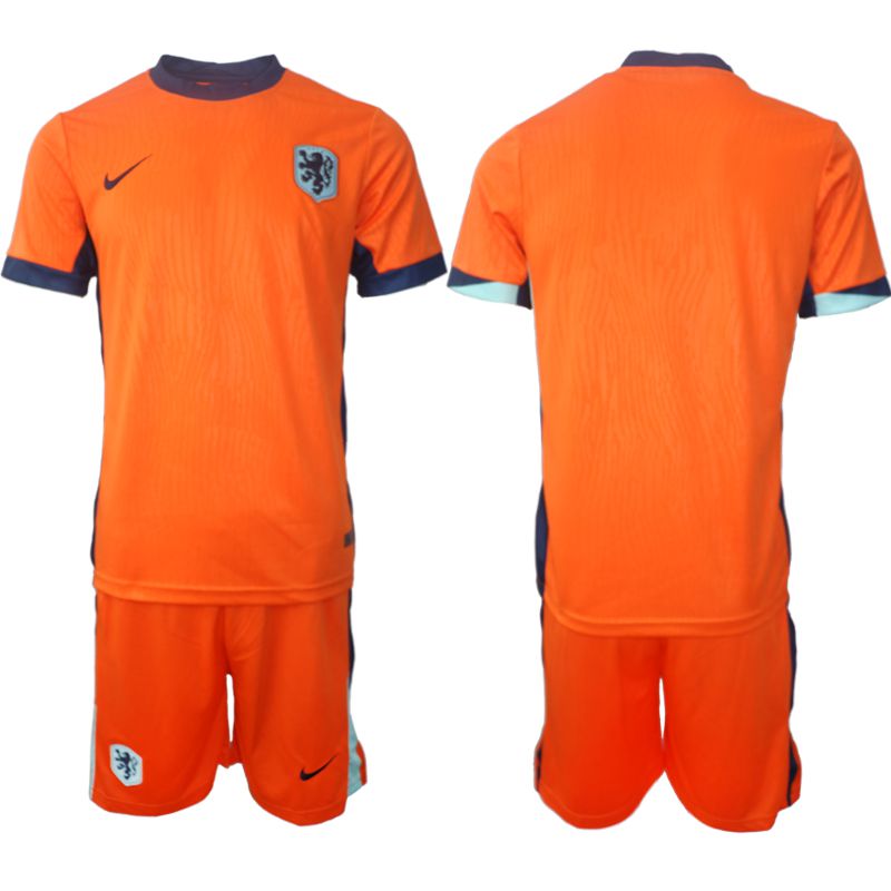 Men 2024-2025 Season Netherlands(Holland) home orange blank Soccer Jersey
